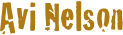 Avi Nelson